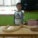 레터사운드어린이집 이미지