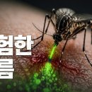 “시작은 모기였다... '살생물제품 승인제'” 이미지