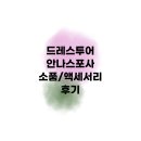 D14 | D14, 드레스투어 | 안나스포사 소품/액세서리 후기