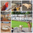 수지 놀이터 | [용인 신봉동] 동물카페와 키즈놀이터가 있는 신봉동 신상 대형카페 &#39;애니멀클럽 수지점&#39; 후기