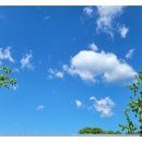 청아 스크린 골프 이미지