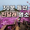대금산진달래길(등산) 이미지