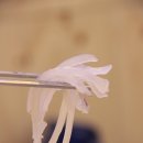 오징어천국 이미지