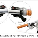 비토(VITO)
