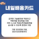 일등건설기계 이미지