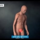 산약초이야기 - 포항시 남구 | 산약초이야기