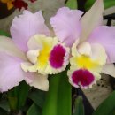 대연농장 이미지