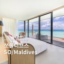 쏘(So) | 몰디브 신혼여행 추천 쏘몰디브스 (SO/ Maldives) 워터빌라 리조트 후기