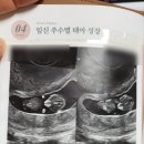 메디엘라산부인과의원 이미지
