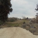 동광리-3 이미지