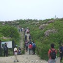 소백산 - 용인시 수지구 문정로 13 | 소백산