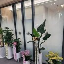 김종률내과의원 | 신대방역 예방접종 전문 병원 좋아요 추천 List 6곳