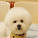 미금로25 이미지