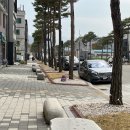 군청길 이코노믹포스트