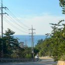 강릉농협정동지점 이미지