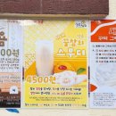 그릭앤샌드욤욤동선동점 이미지