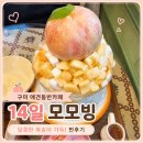 구미 14일 애견동반카페 모모빙 후기, 마카롱 유명한 감성 디저트카페