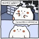 효진반점 | 밀린 일상 5