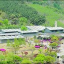 계절여행 이미지