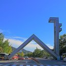 서울대학교