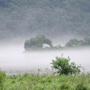 경안천 4 이미지