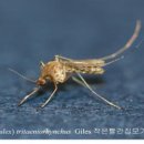 빨간집 연합뉴스
