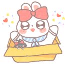 뒹굴뒹굴고양이 이미지