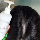 채울 | 모발굵어지는법 저속노화샴푸 채울샴푸 후기