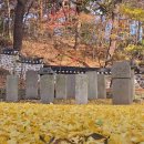 역대 현감비석군 이미지