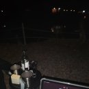 경기도 단풍 캠핑장 애견동반 가능한 유명산밸리캠핑장 호수 사이트 후기