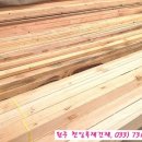 천일건재 이미지