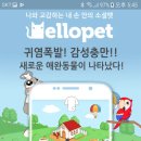 헬로펫 이미지