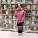 일신이용소 이미지