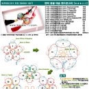 (비즈공예배우기무료강좌) 엔틱 꽃볼 테슬 핸드폰고리 이미지