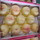 칠성농산