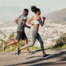 퍼펙트짐#2 이미지