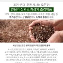씨앤조경