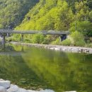 성주 산그늘펜션 네이버블로그
