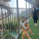 젬맘 이미지