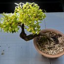 들뫼영농조합법인 이미지