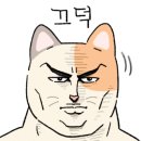 차수학과학학원 네이버블로그