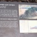 제주 모슬포 알뜨르 비행장 일제 지하벙커 이미지