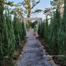 블루엔젤 하우스 이미지