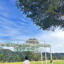 꽃길만 걷장 이미지