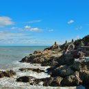 해동용궁사 이미지