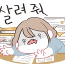 모디돌