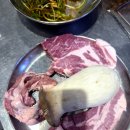 하늘돼지 이미지