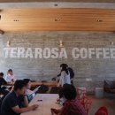 포레스트커피 이미지