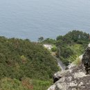 새천년공원길 이미지