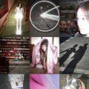 신보문장 이미지